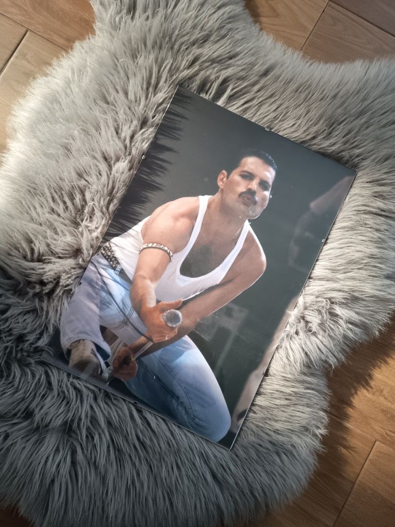 Obraz na płótnie plakat w antyramie Freddie Mercury Queen