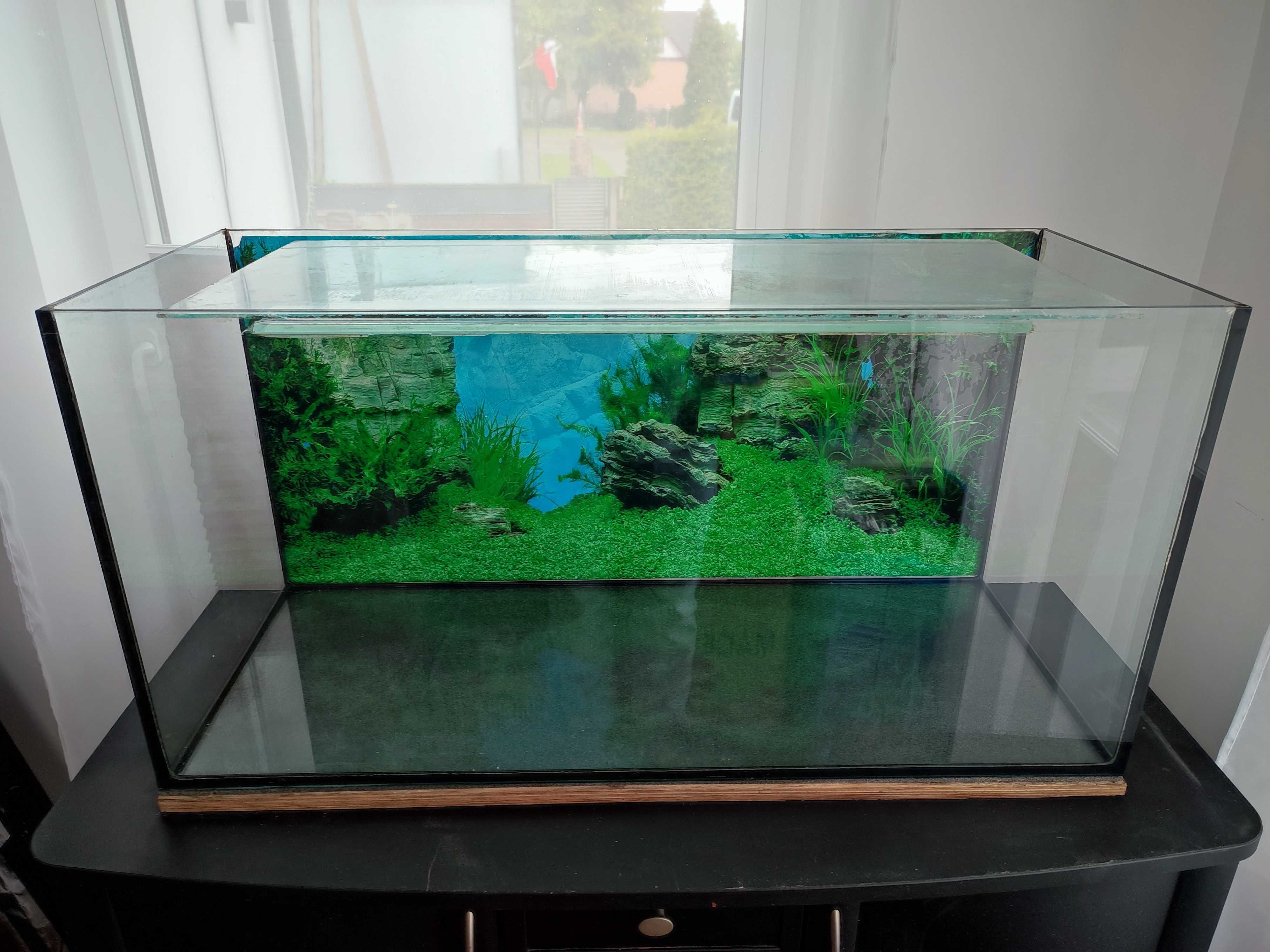 Akwarium 200L + Ffiltr Zewnetrzny 1150l/h + Szafka