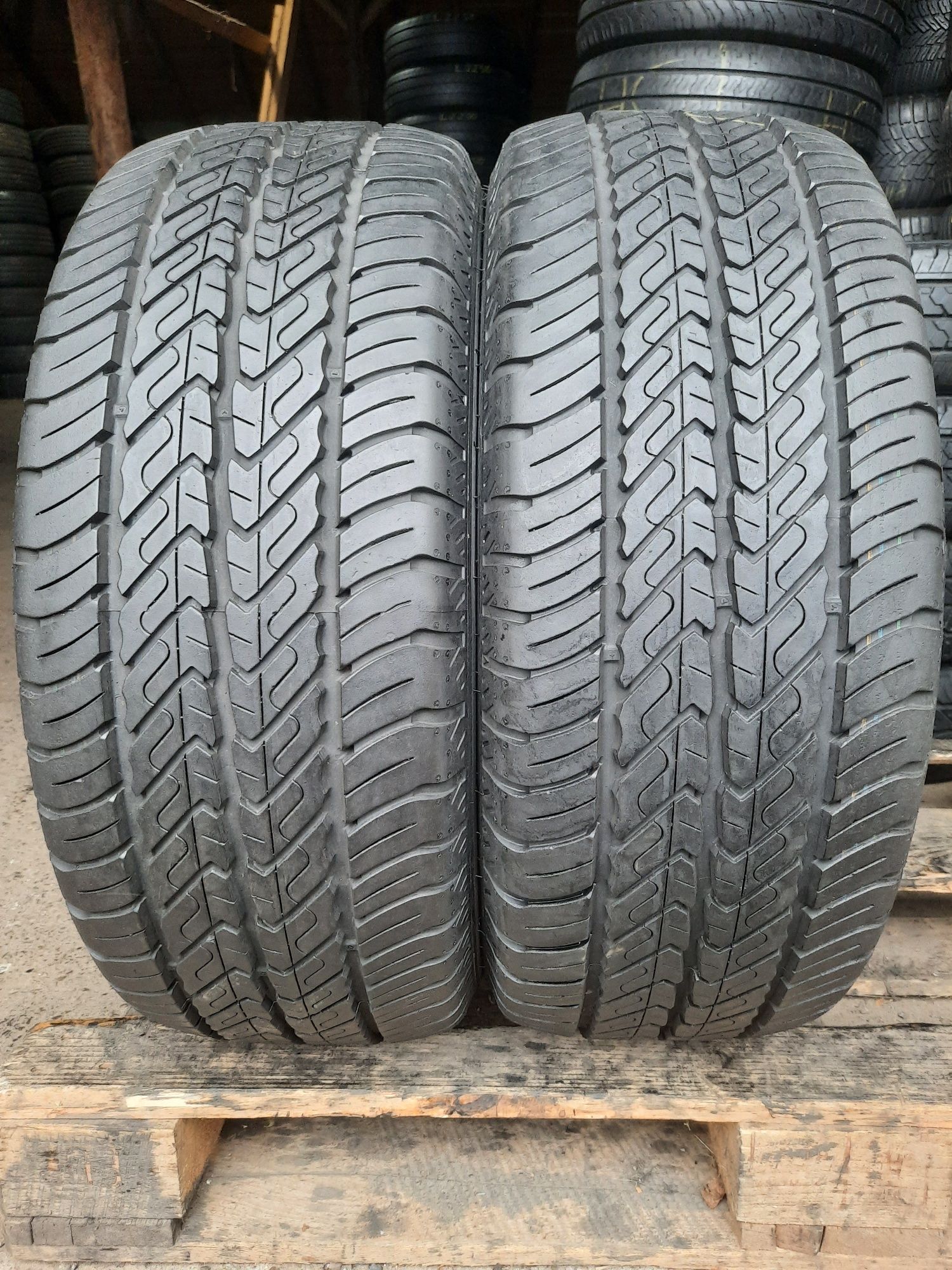 Літні шини 225/55 R17C Dunlop Econodrive 2шт. 95% 2022