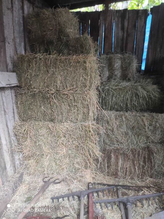 Продам тюки Люцерна