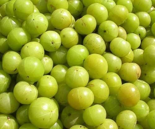 5 Sementes de Groselha Indiana (Amla)