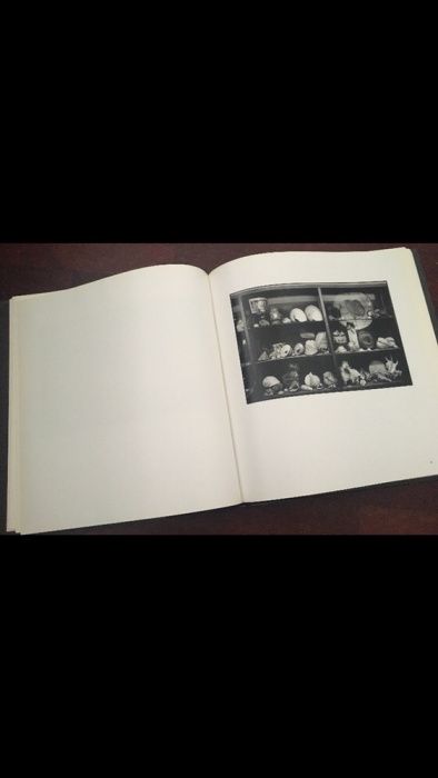 Livro de fotografia o segredo -Margarida dias