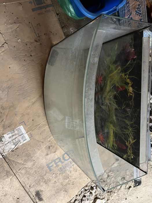 Аквариум  для рыб