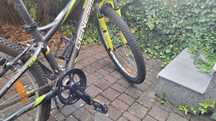Rower genesis element x10