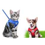 Peitoral + coleira para gato ou cao (novos)