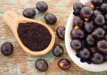 Açaí biológico brasileiro fruta ou liofilizado para venda