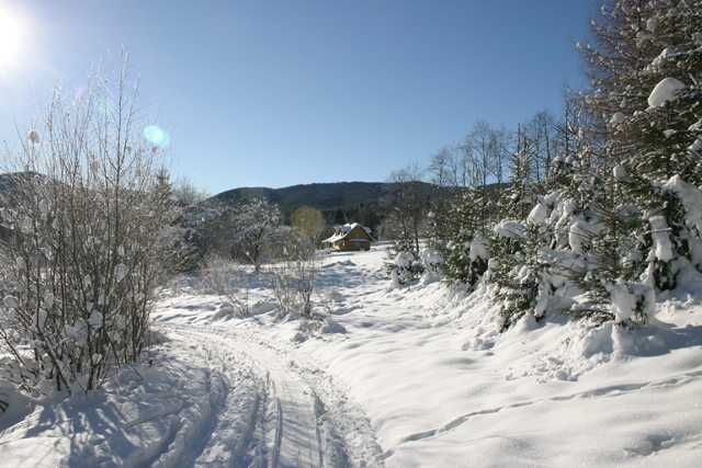 Dom do wynajęcia Bieszczady, apartamenty