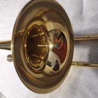 Puzon Carol Brass 2207 YSS