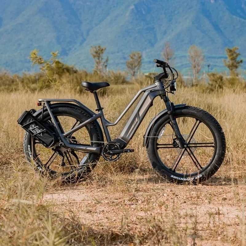 Bicicleta elétrica Fiido Titan Robust Cargo