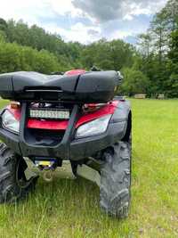 Quad HONDA rubicon  TRX 650