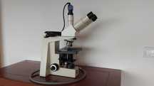 Microscópio Zeiss campo escuro