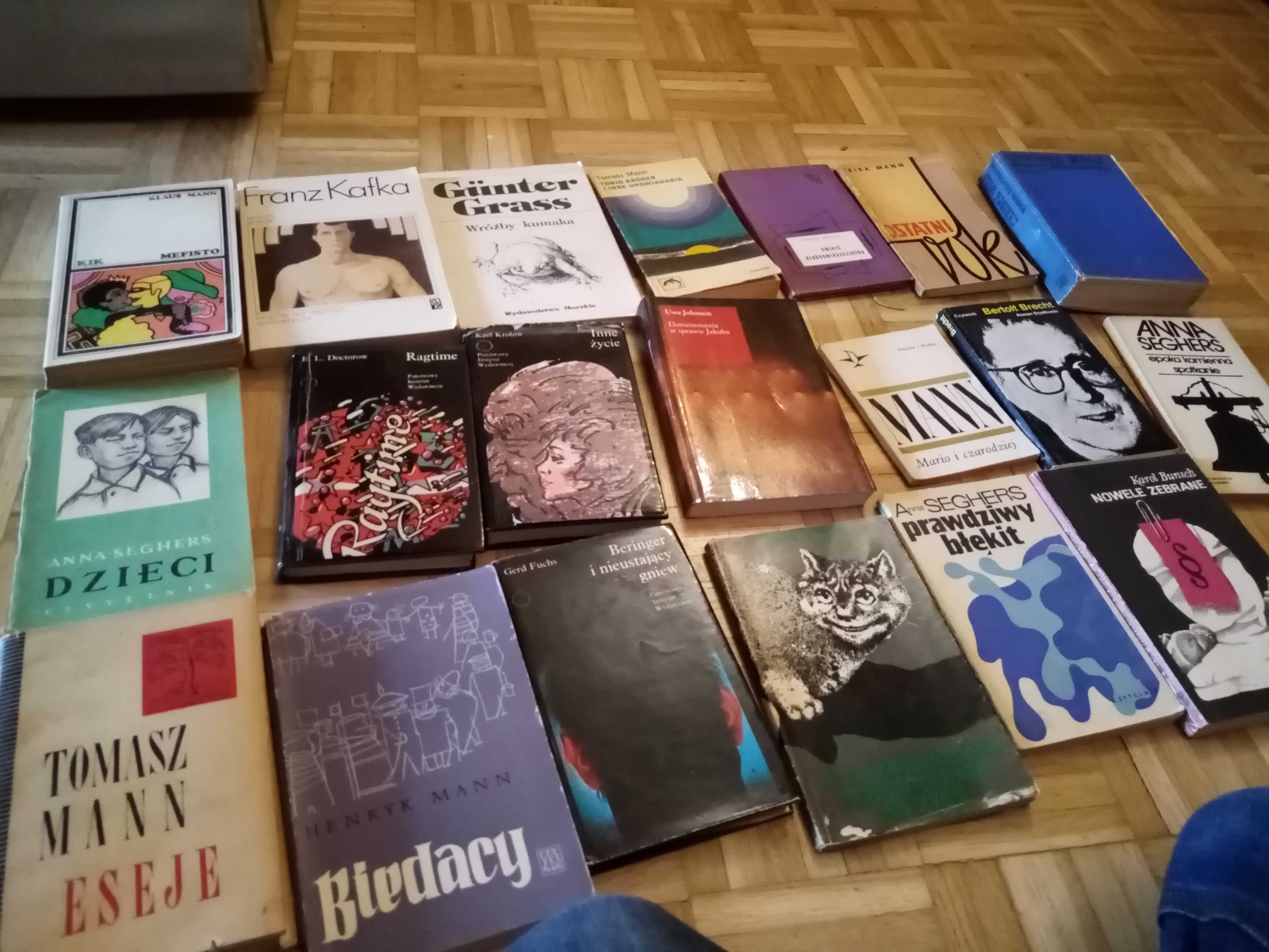 20 książek literatura niemiecka Mann Wolf Grass Seghers Krolow itp