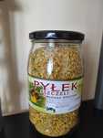 Pyłek pszczeli 0.5kg