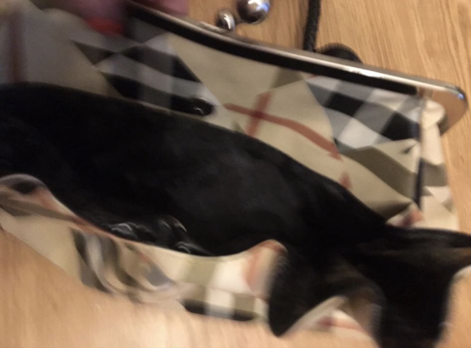 Torebka w kratke damska portfelowa na codzień