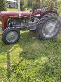 Mf 35 Massey ferguson 35 3cyl diesel zarejestrowany odrestaurowany