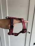 Szelki Warsaw Dog guard XS