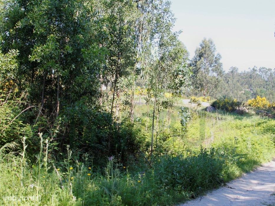 Terreno com 2.300m2 em Vilar de Mouros