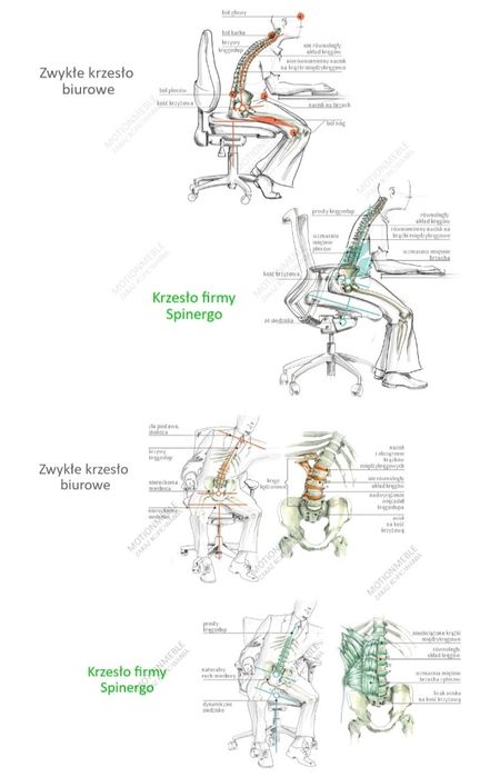 Super fotel ergonomiczny Spinergo office