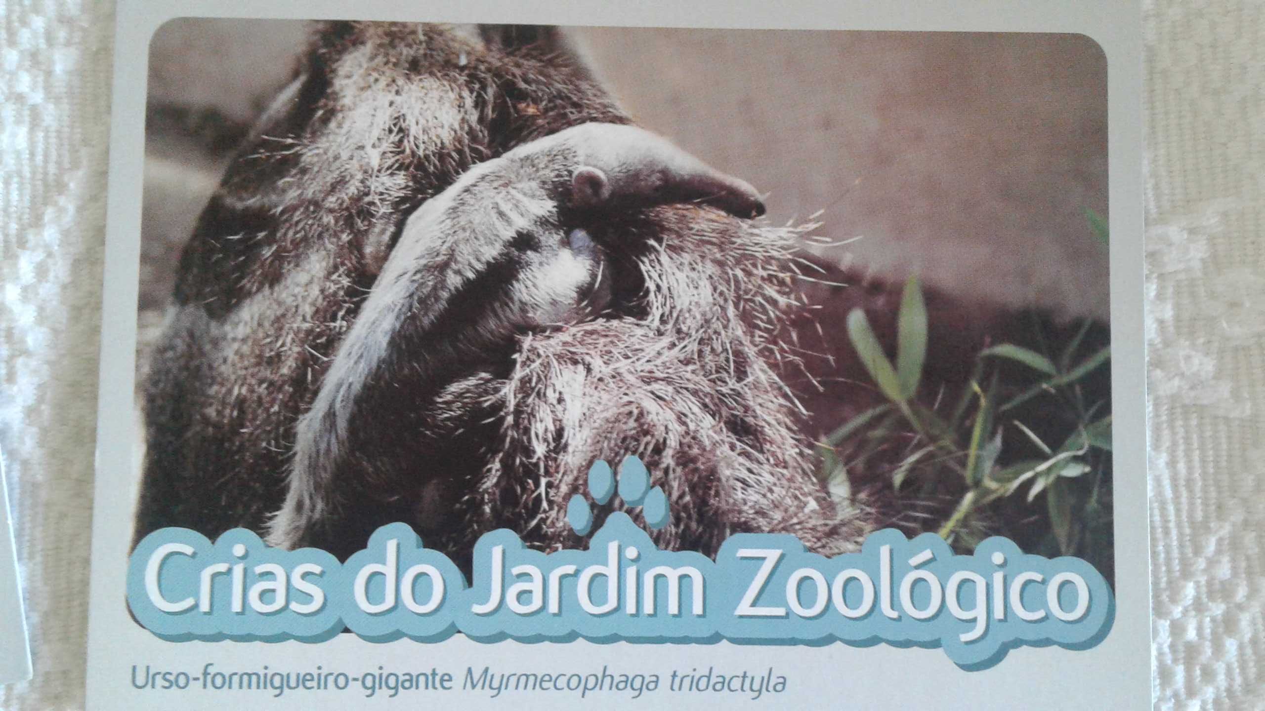 31 postais das Crias do Jardim Zoológico