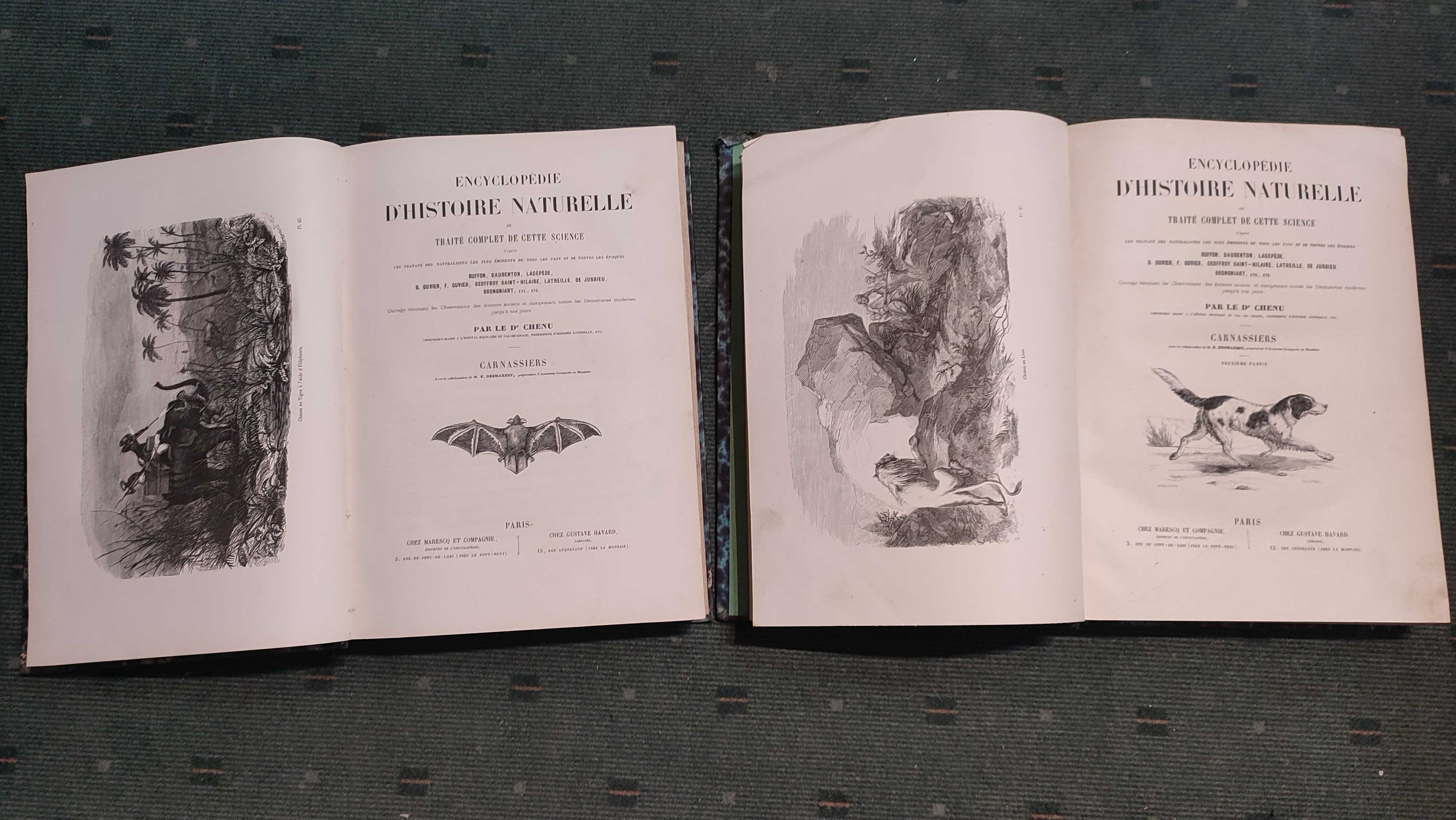 Encyclopédie D'Histoire Naturelle Traité Complet -Carnassiers - 2 Vol