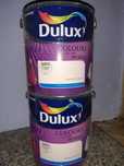 Farba dulux ncs ogrody magnolii róż