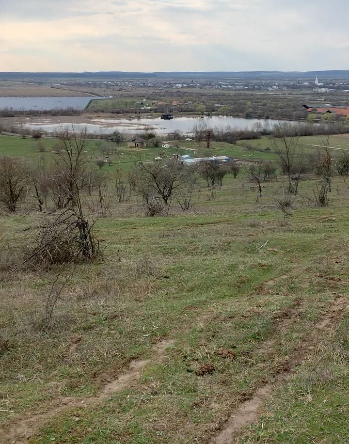 Земельна ділянка с/г 2 Га Закарпаття с.Шаланки від власника