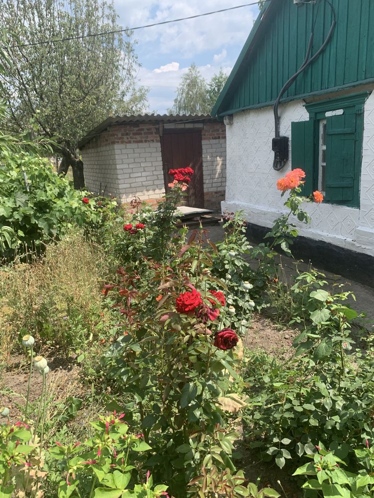 Продам будинок в с.Погреби