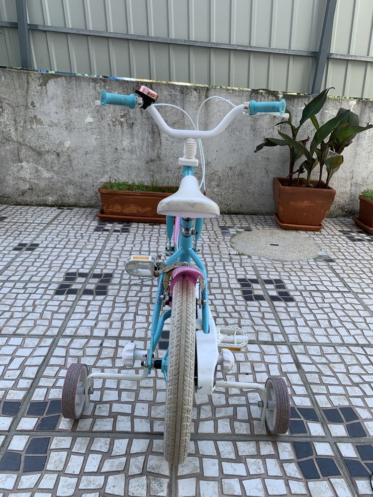 Bicleta Frozen roda 14