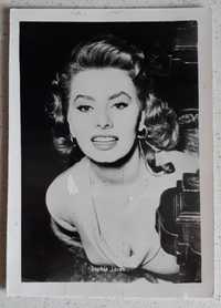 Sophia Loren - stara fotografia sprzed około 60 lat