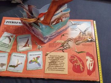 Książki Dinozaury Przestrzenna 3D