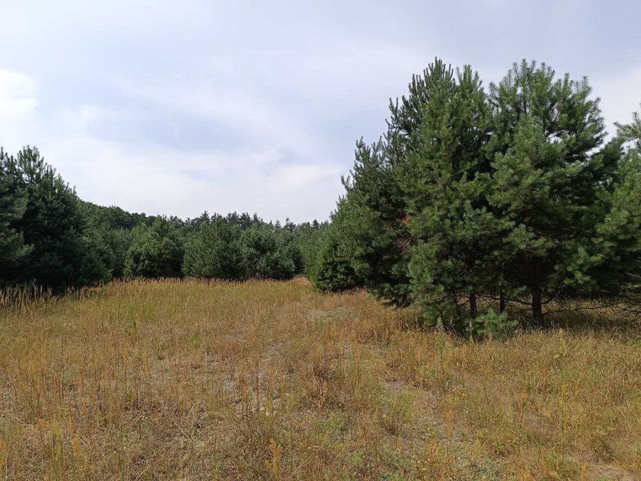 Продаж земельної ділянки під забудову