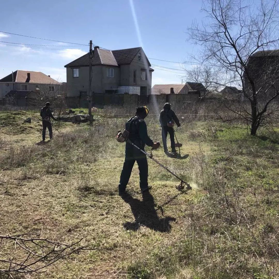 Покос,травы,чистка стрижка газонов, уборка.Качественно и аккуратно.