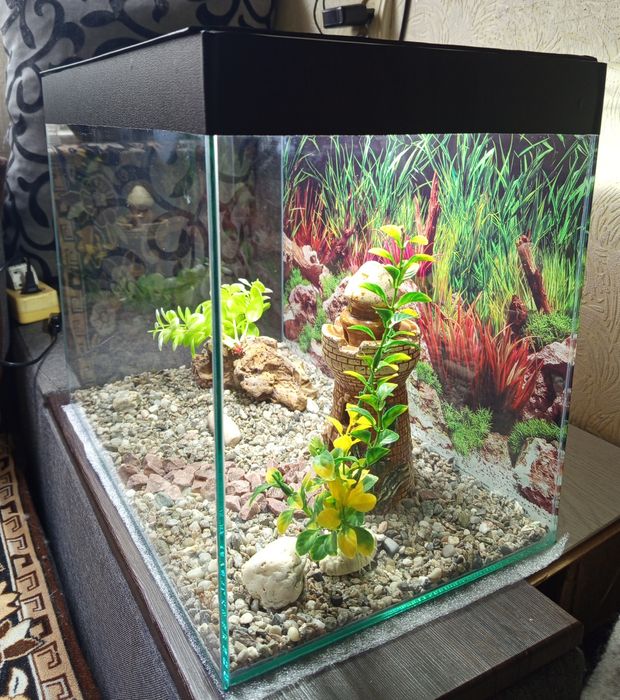 Аквариумы 40 л.со всем необходим