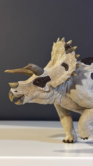 Triceratops - Nanmu
