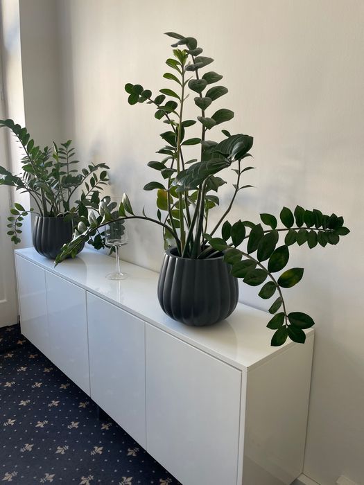 Wynajmę część biura (pokój) - Nowogrodzka Warszawa