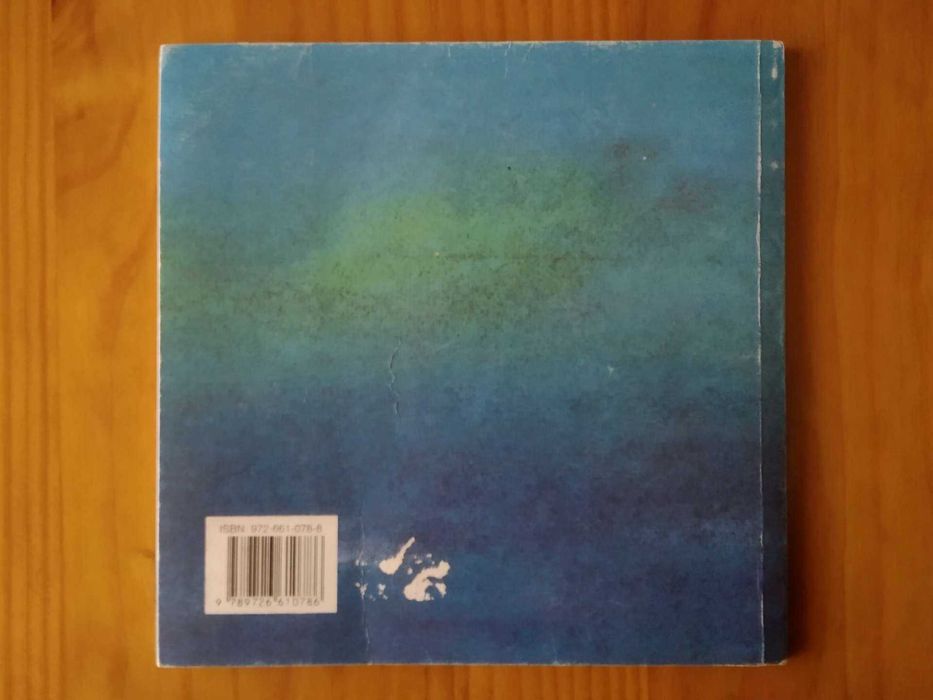 (PORTES GRÁTIS) A Menina do Mar (Livraria Figueirinhas, 2000)