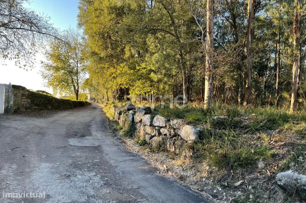 Terreno Rústico Plano com 38.100m² em Vila de Punhe
