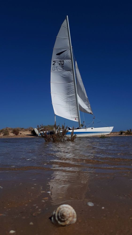 Catamarã DART 18, Vela ligeira.
