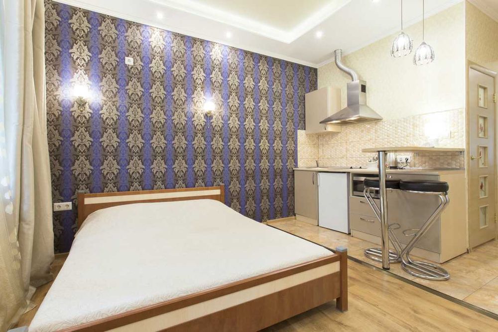 Однокімнатна світла студія у Центрі