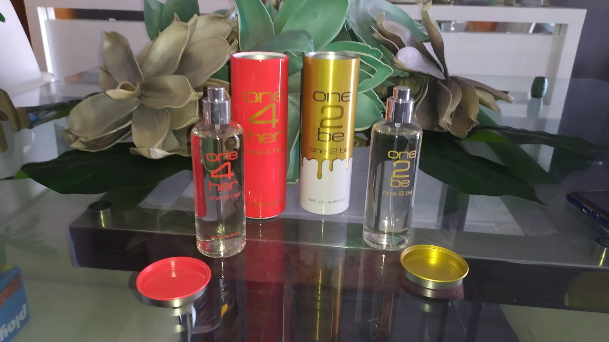 2 perfumes novos 100 ml cada