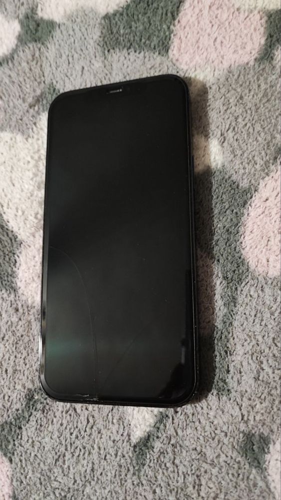 iPhone 12 pro max