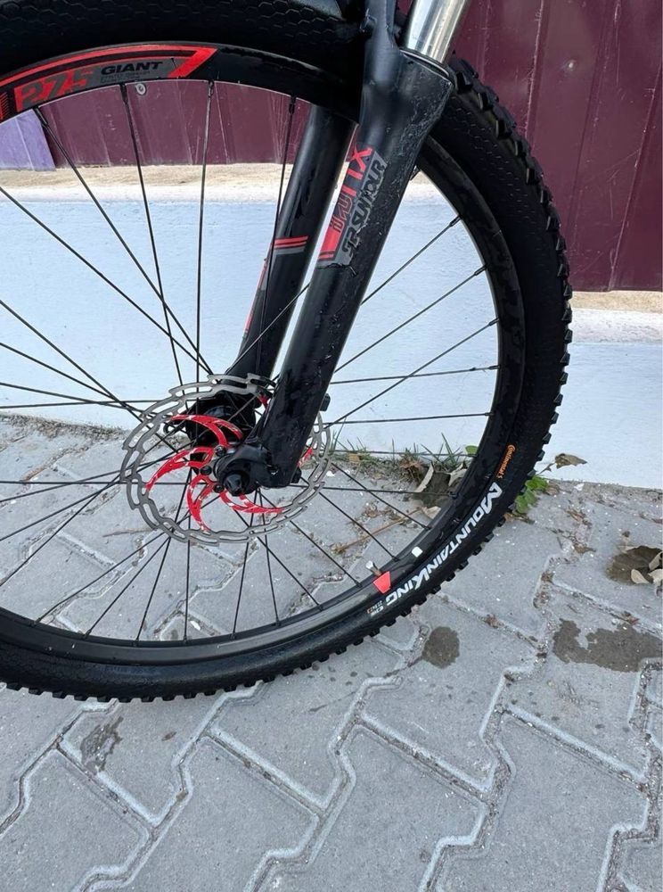 Giant talon 2018