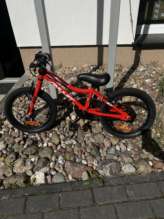 Rower dla dziecka speedy amulet.