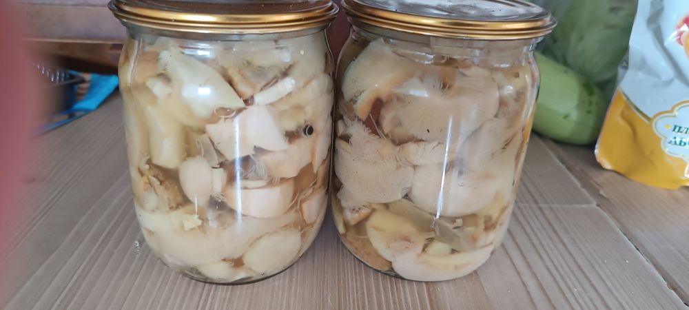 Мариновані гриби (білий,маслюки)