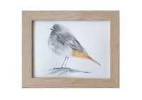 Obraz ptaszek ptaki Akwarela ręcznie malowana "Ptak"+rama