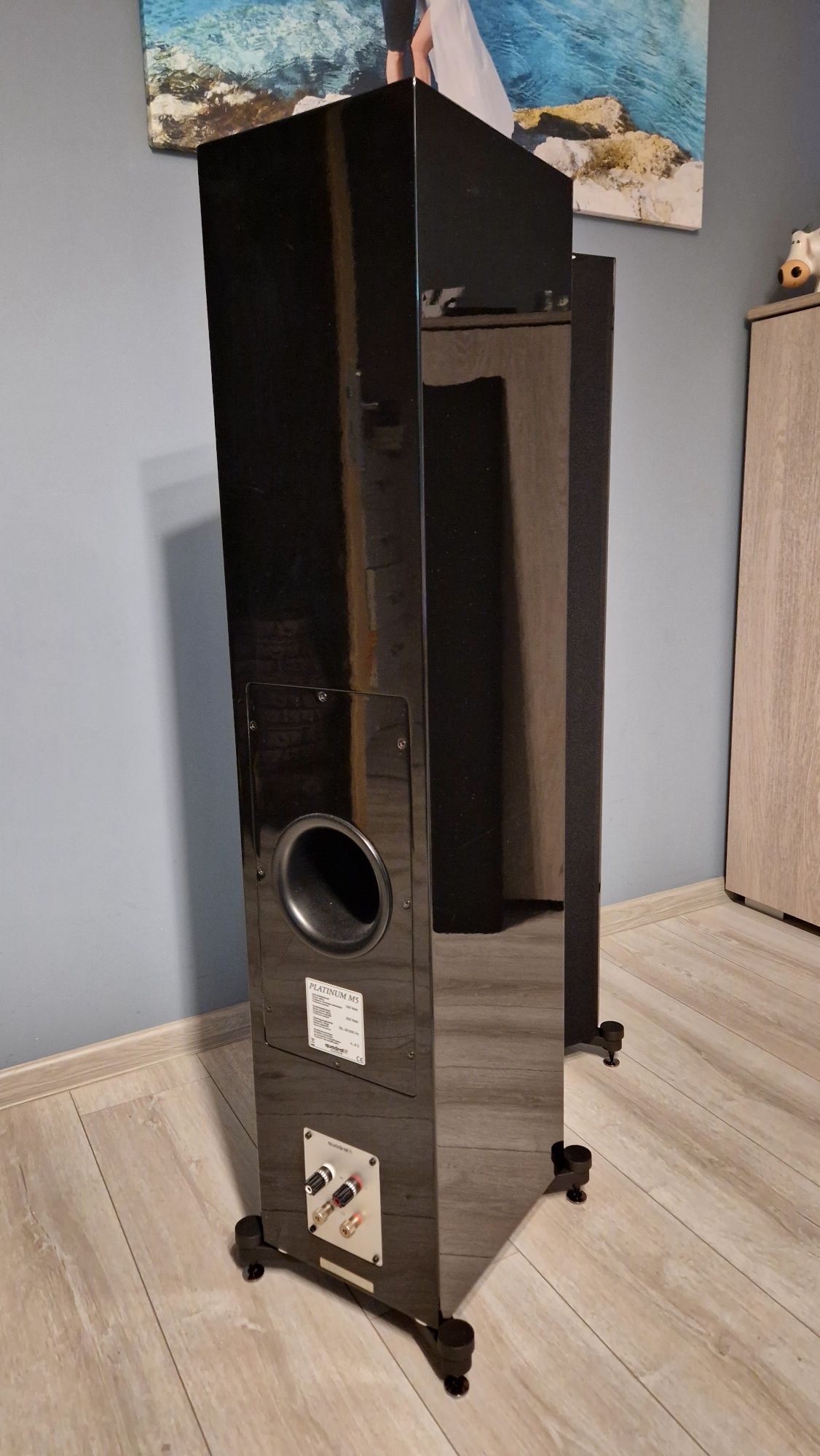 Quadral Platinum M5 (M50)