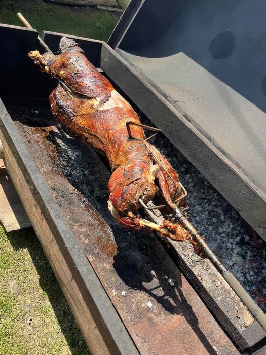 баранина европейських мясних порiд дорого ягнятина вівці овци