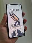 iPhone 11 Pro Max 100% battery