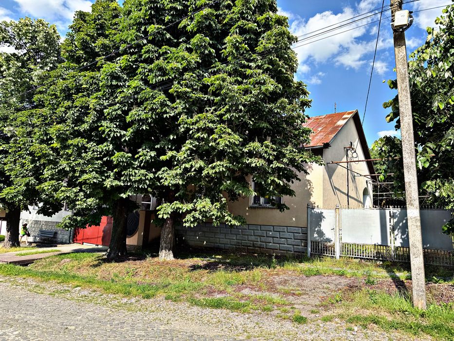 Сімейний затишний будинок