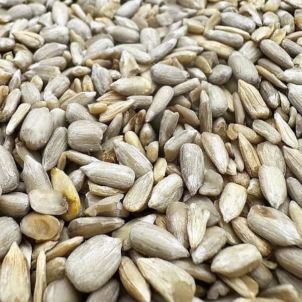 14kg SŁONECZNIK ŁUSKANY 99% ziarno na zimę karma zimowa karmnik Champi